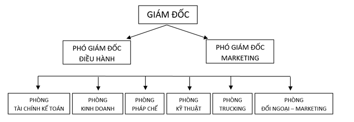 t89-co-cau.jpg